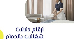 شغالات حبشيات بالدمام