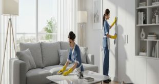 مكاتب شغالات المدينة حى نبلاء